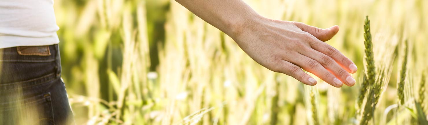 hand in field